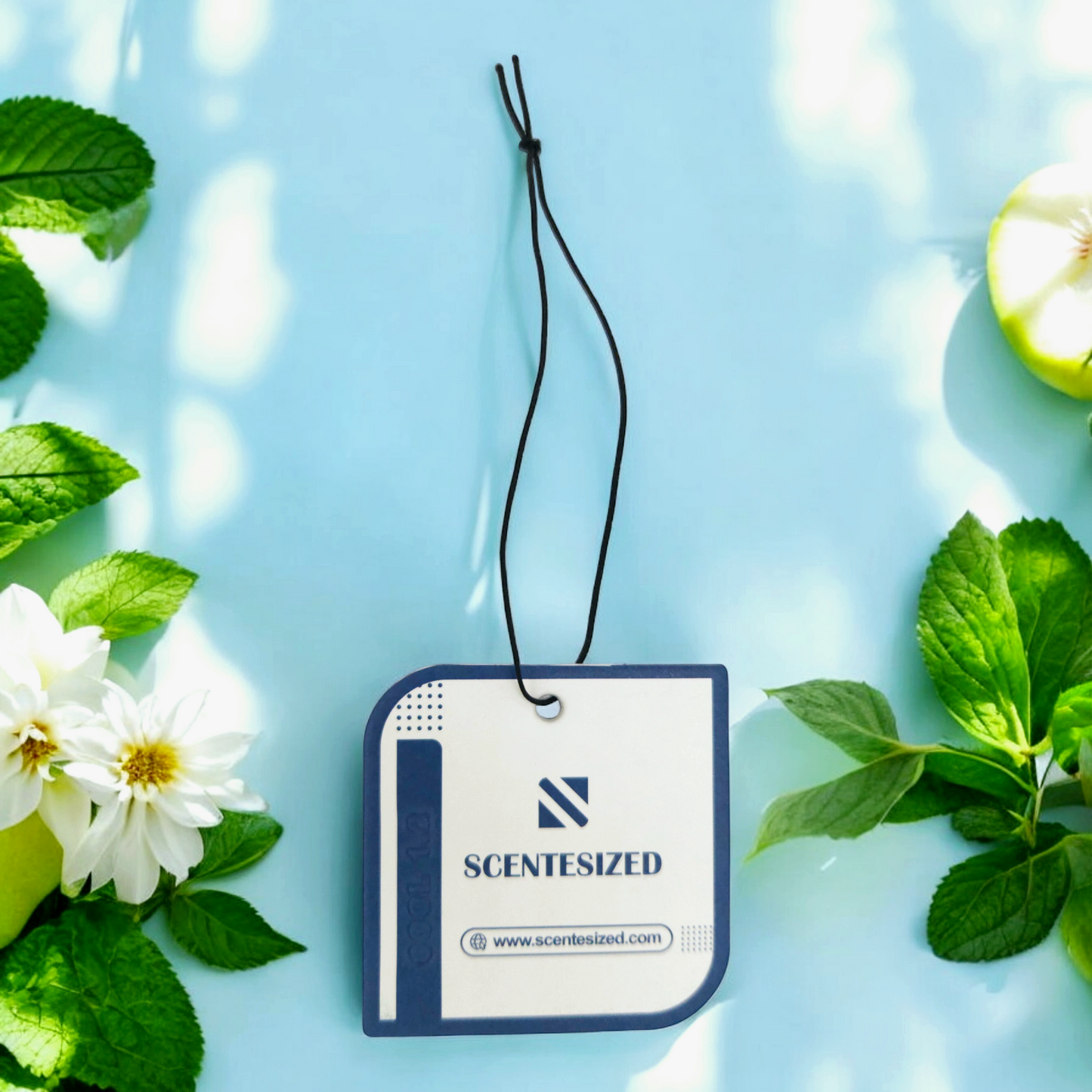 Premium Scented Tag COOL 1.2