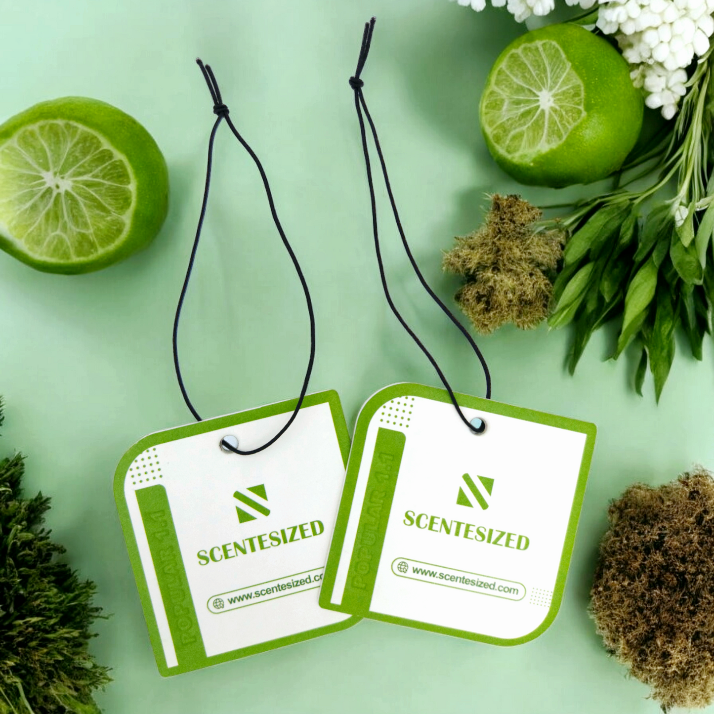 Premium Scented Tag POPULAR 1.1